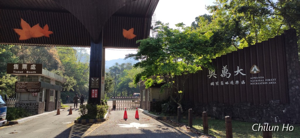 投專10
