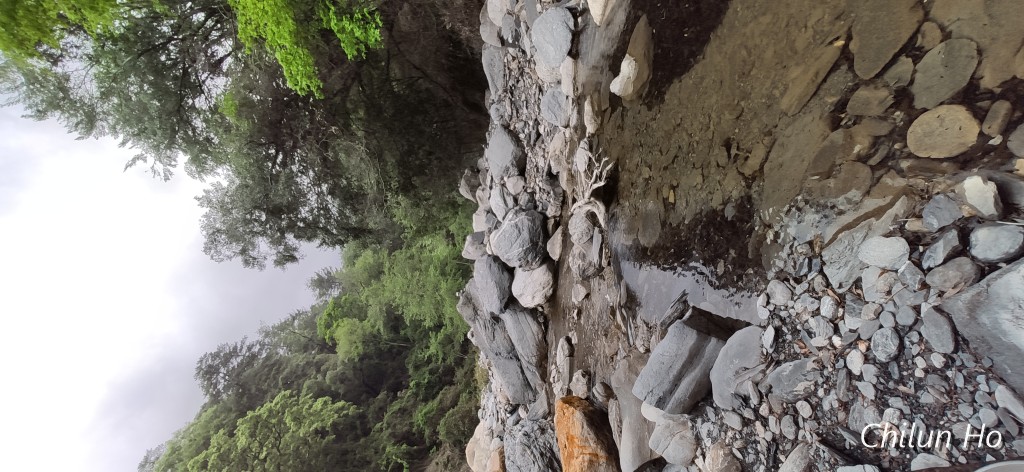 能高安東軍縱走