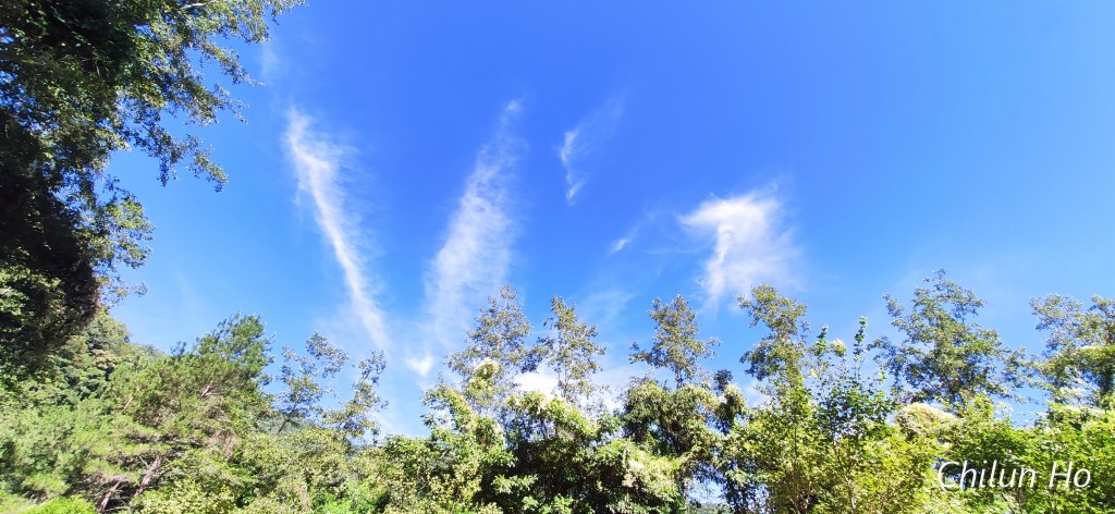 新中橫公路水里玉山線