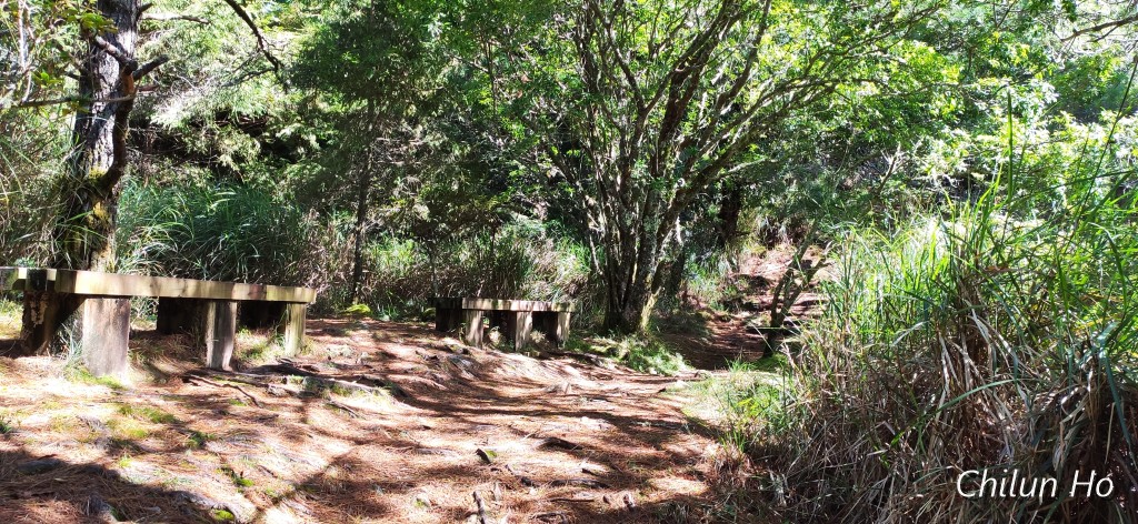 阿里山公路