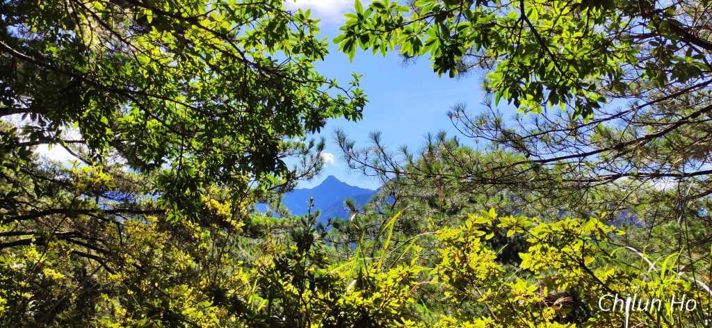 東埔山登山步道