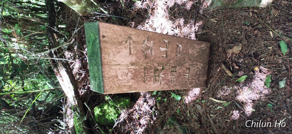 新中橫公路水里玉山線