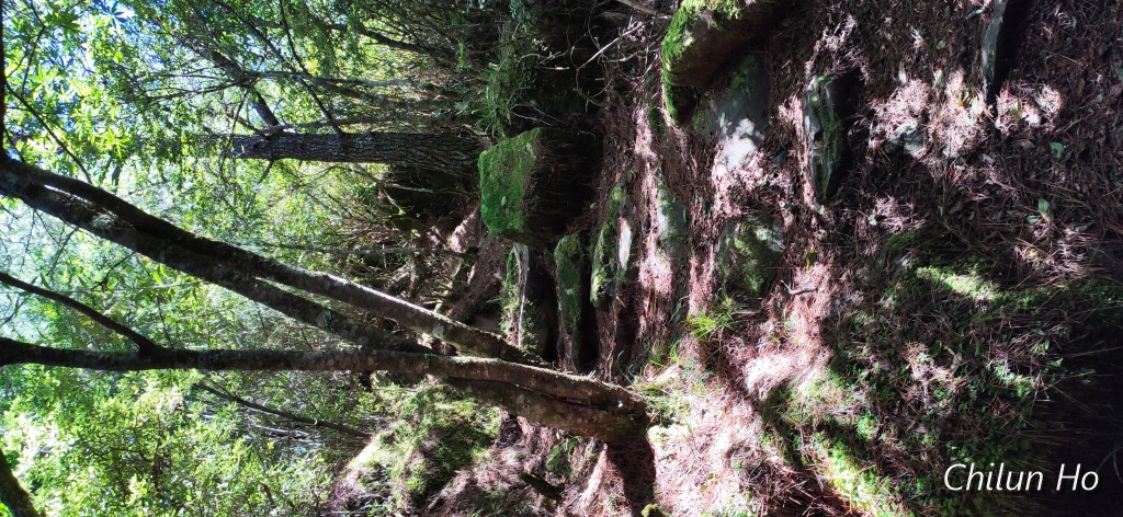 新中橫公路水里玉山線