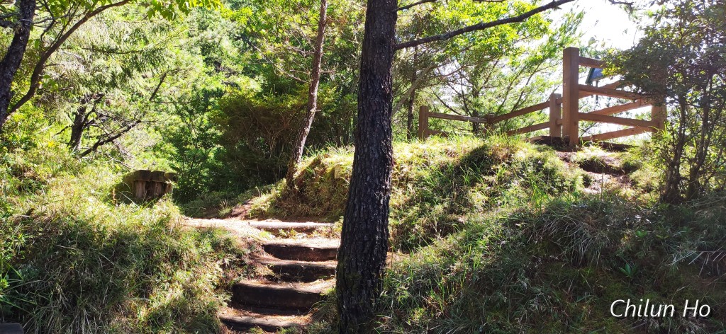 觀景台