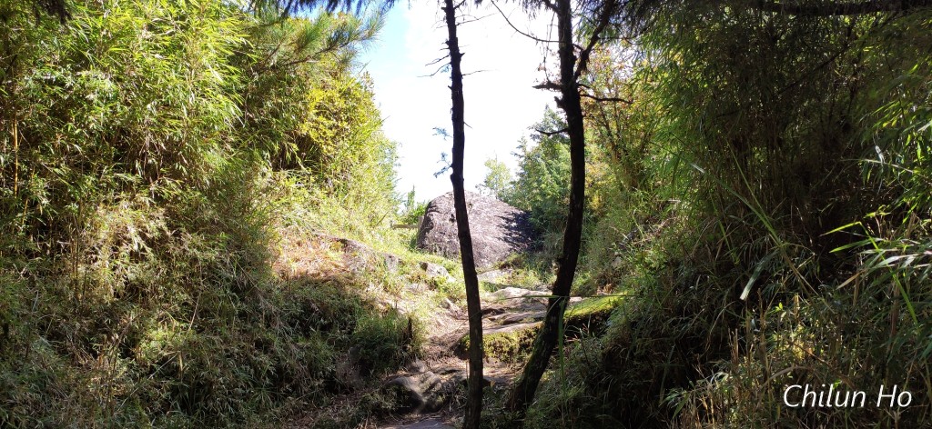 阿里山公路