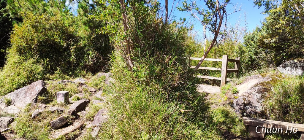 東埔山登山步道