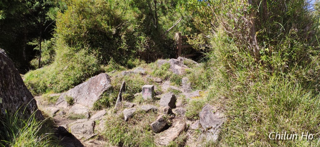 新中橫公路水里玉山線