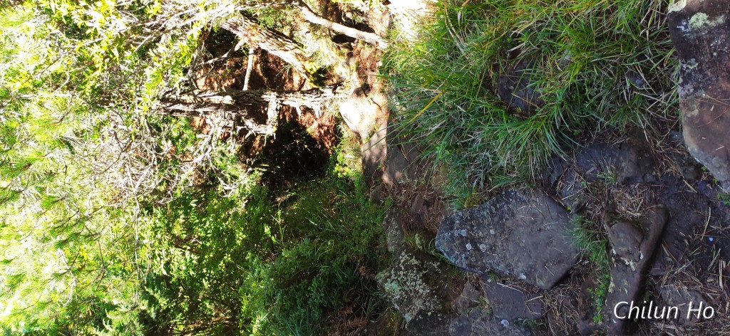 新中橫公路水里玉山線