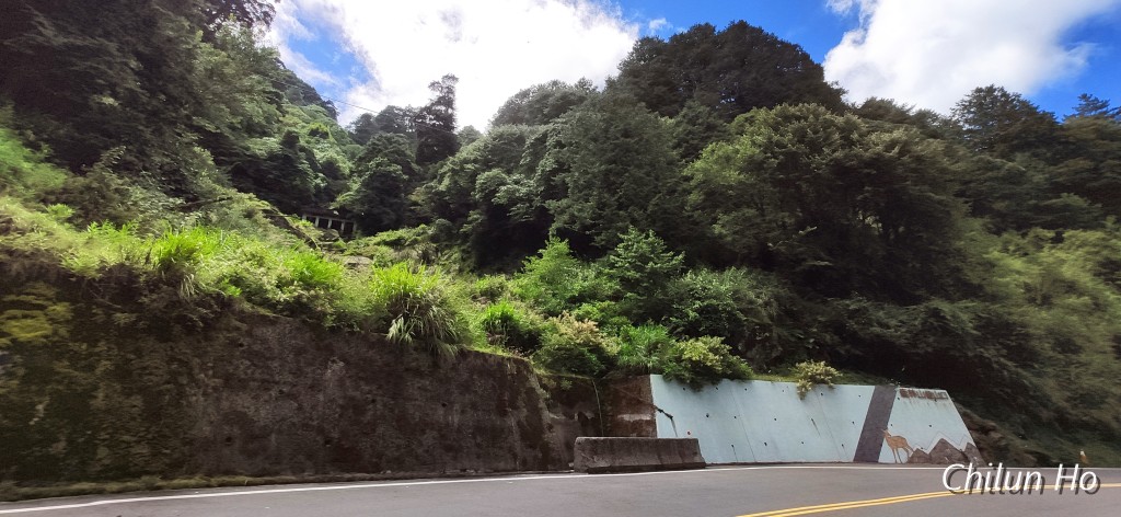 阿里山公路