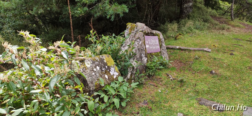 鹿林山登山步道