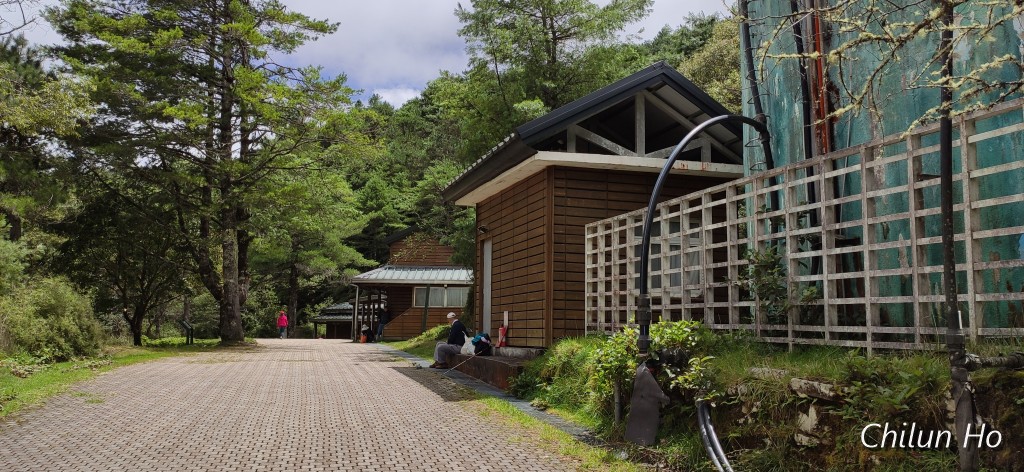 鹿林山登山步道