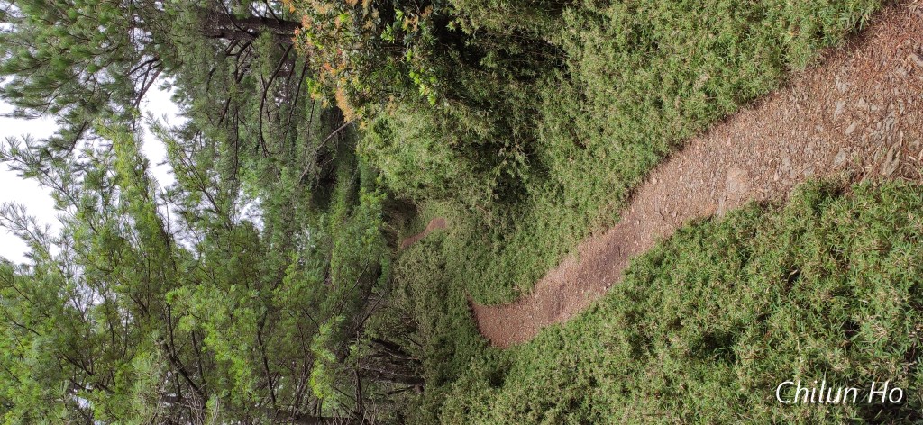 玉山步道