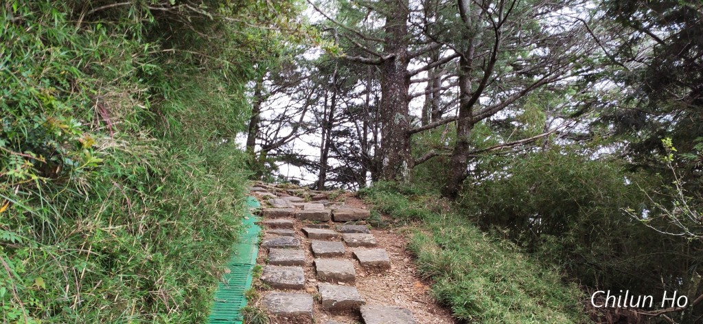 (原玉山林道)