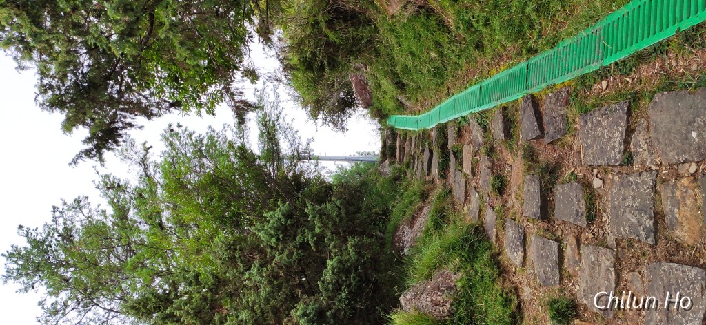 (原玉山林道)