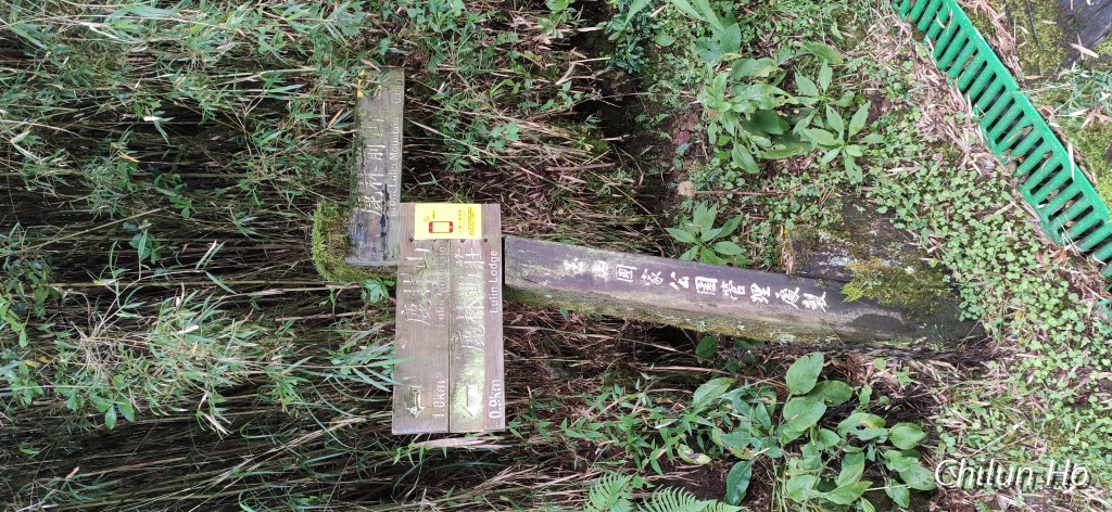 玉山林道