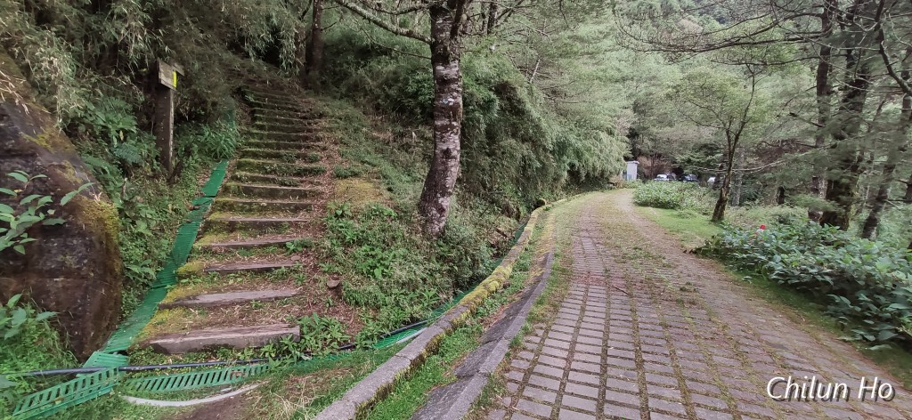 玉山林道