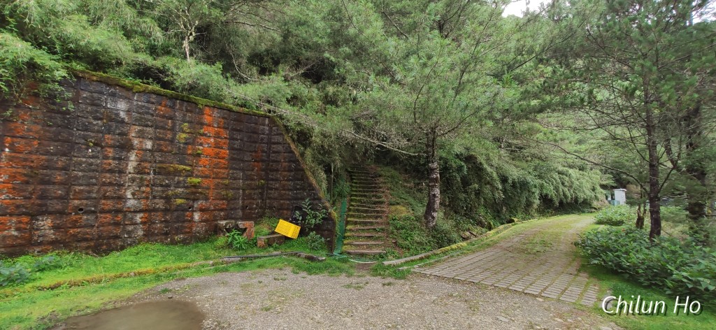 玉山林道