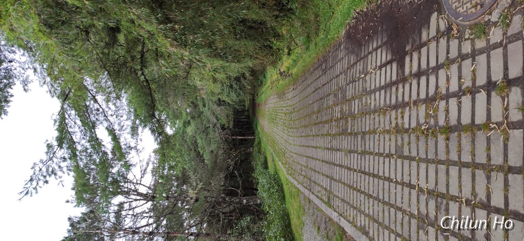阿里山公路