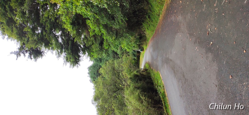 阿里山公路