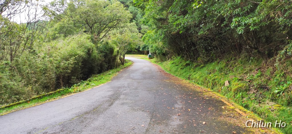 阿里山公路