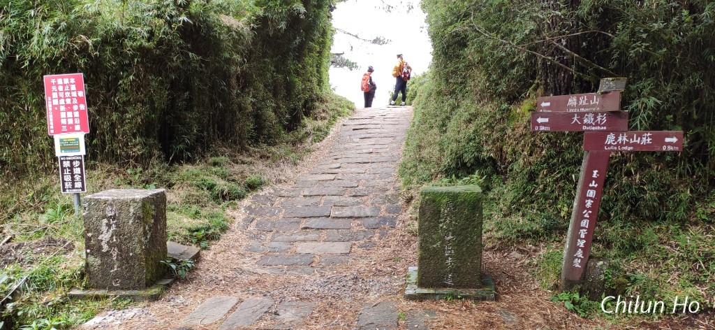 玉山林道