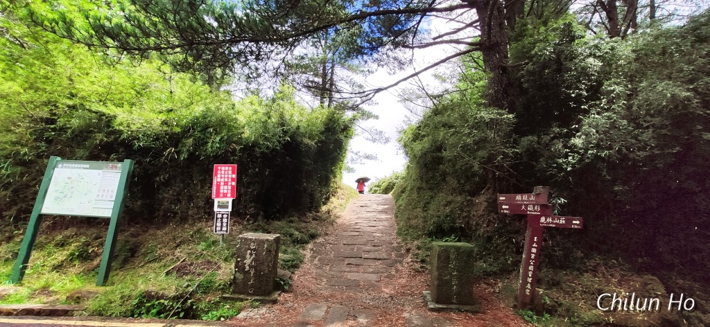 阿里山公路