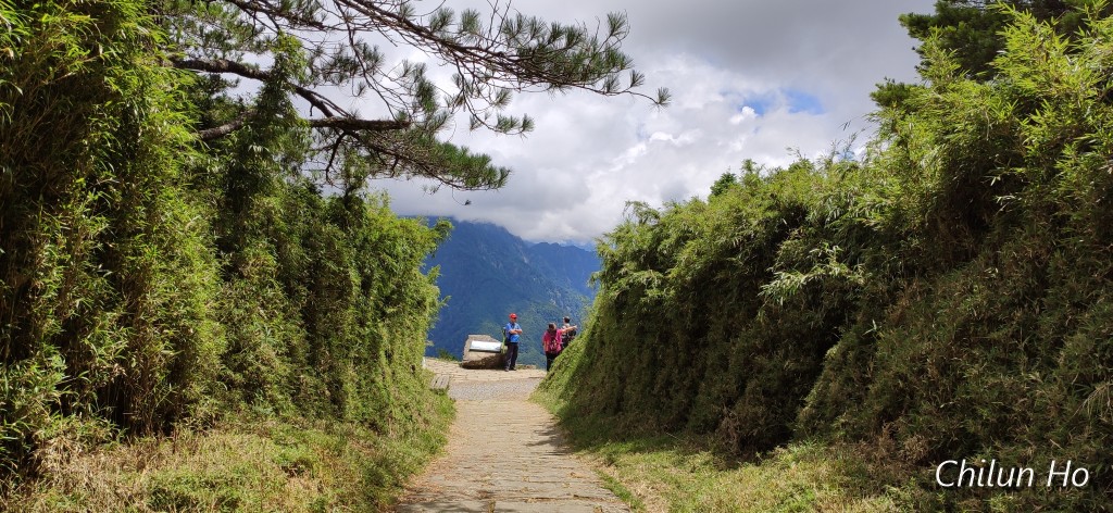 阿里山公路
