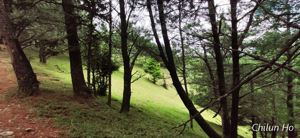 麟趾山登山步道