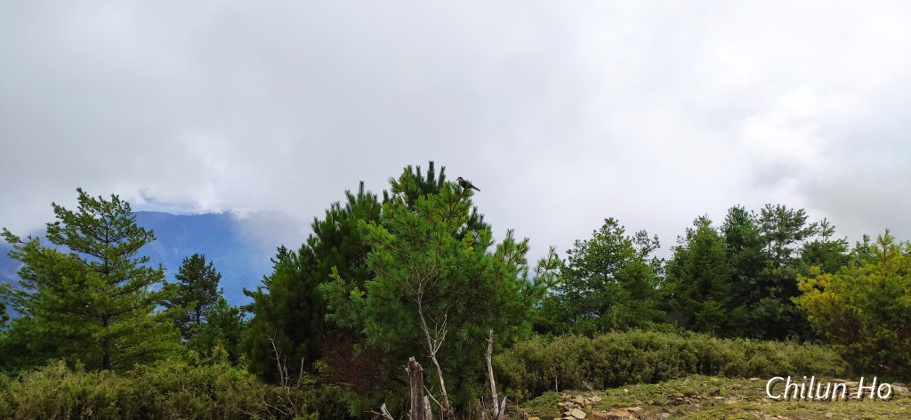 麟趾山登山步道