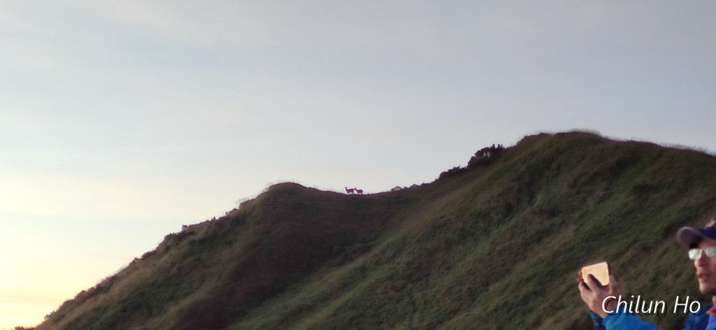 3159峰南鞍營地