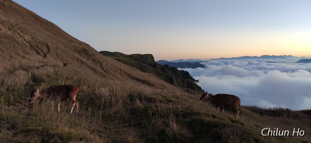 3159峰南鞍營地