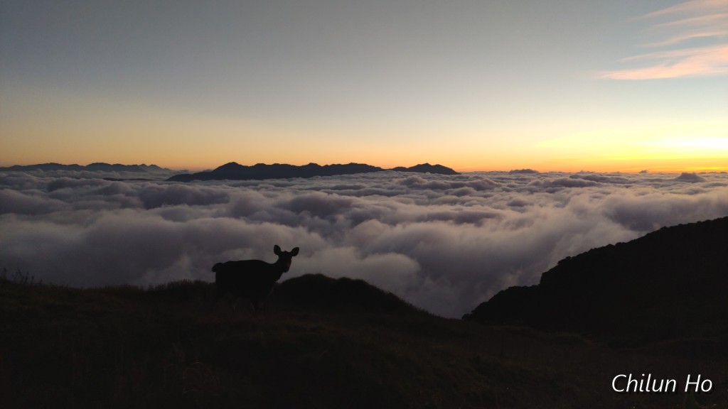3159峰南鞍營地