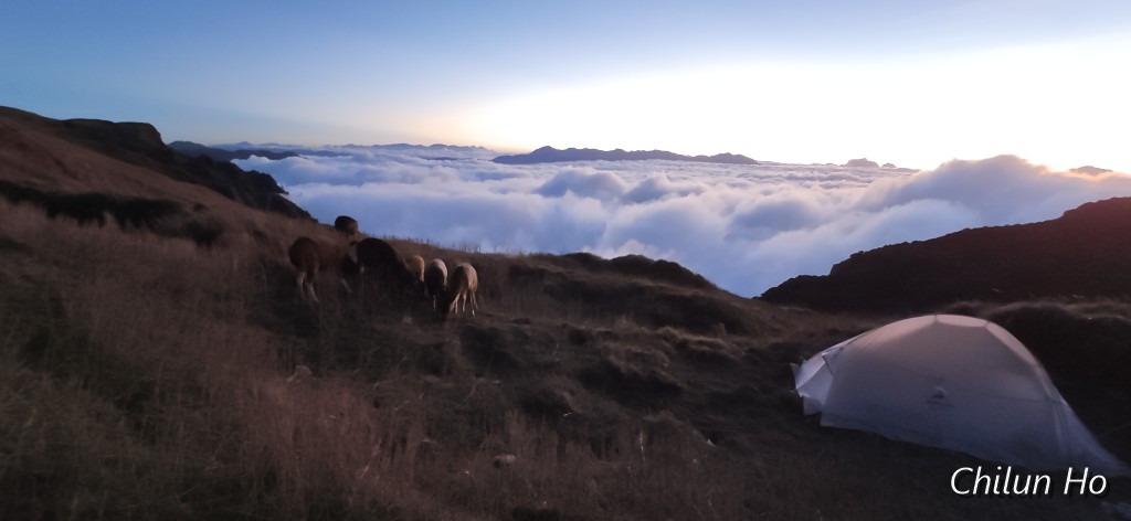 3159峰南鞍營地