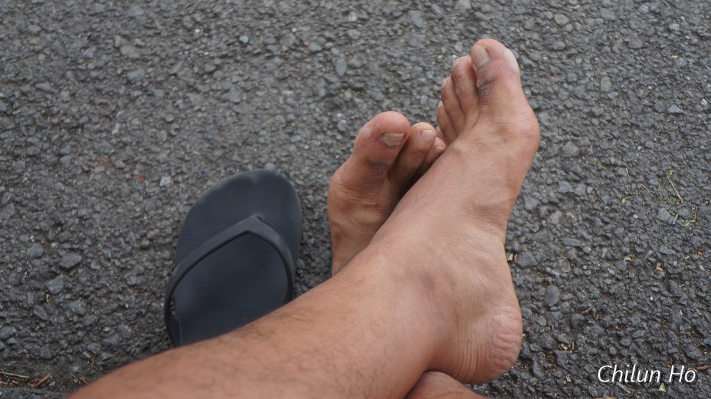 DSC00650