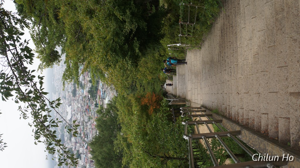 DSC00708