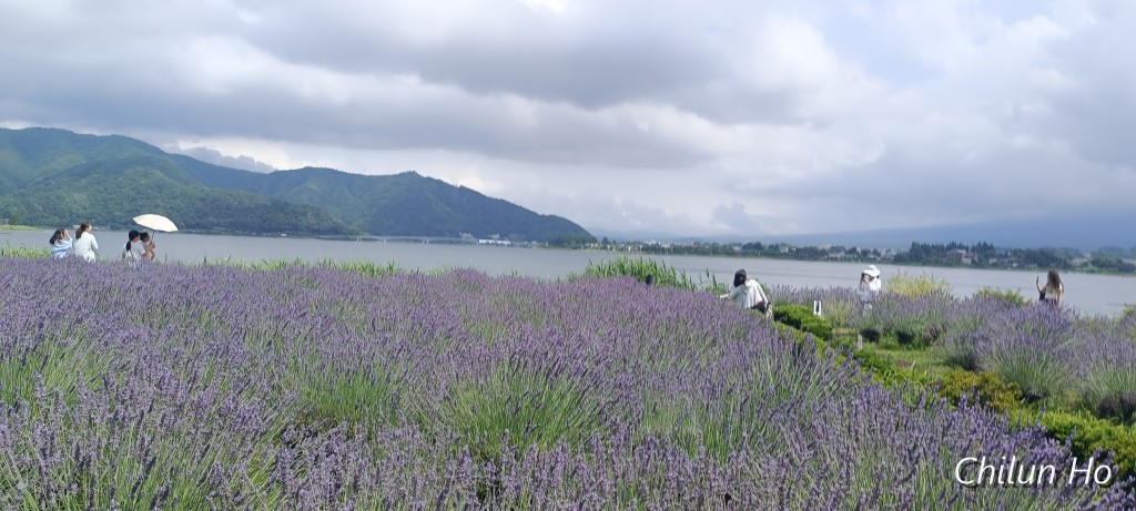 大石公園 無料駐車場