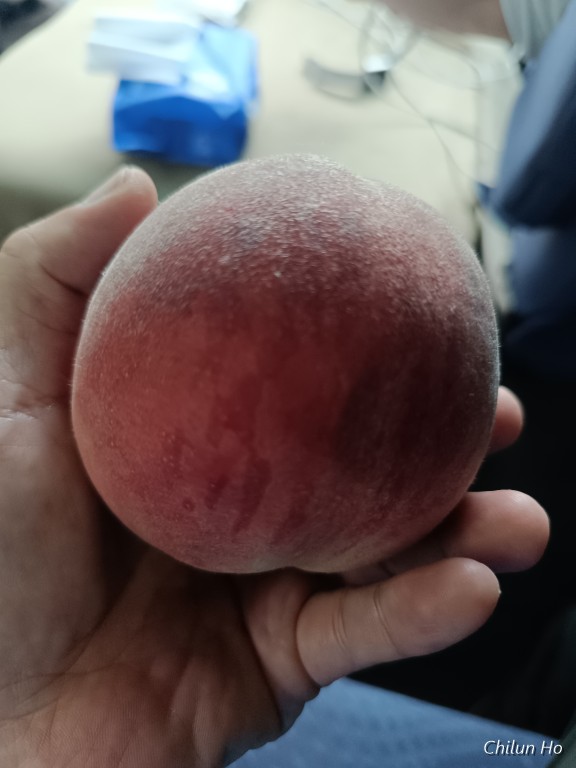 河口湖上九一色線