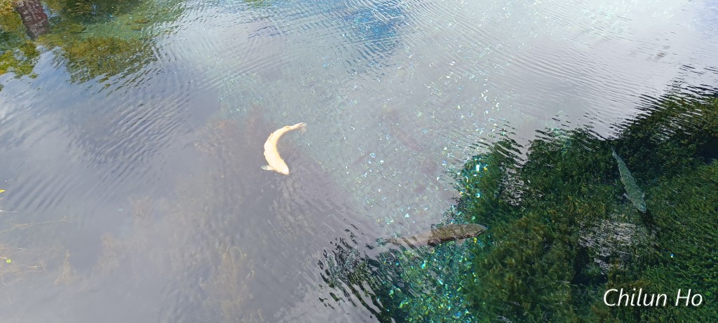 八海2号橋