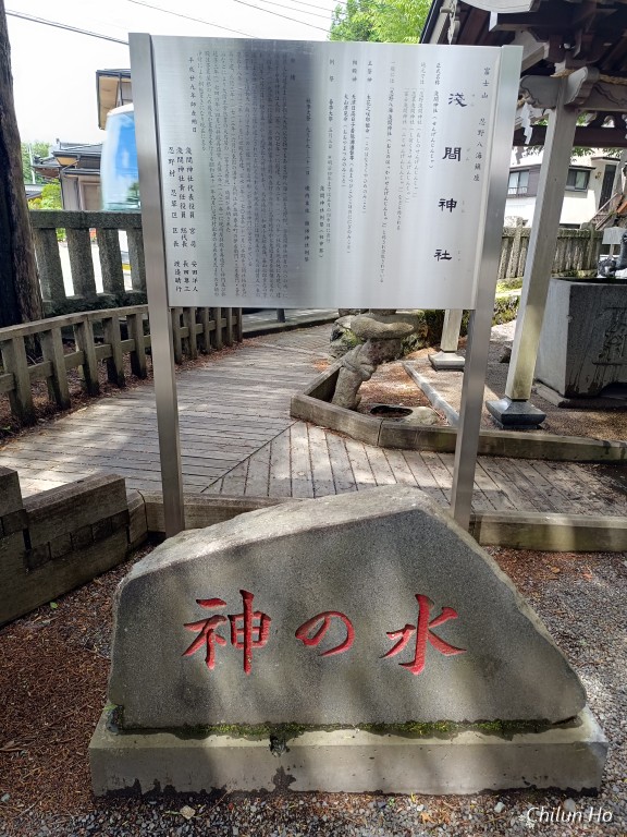 忍草