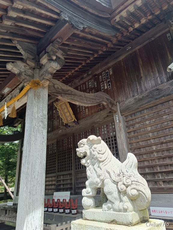 忍草