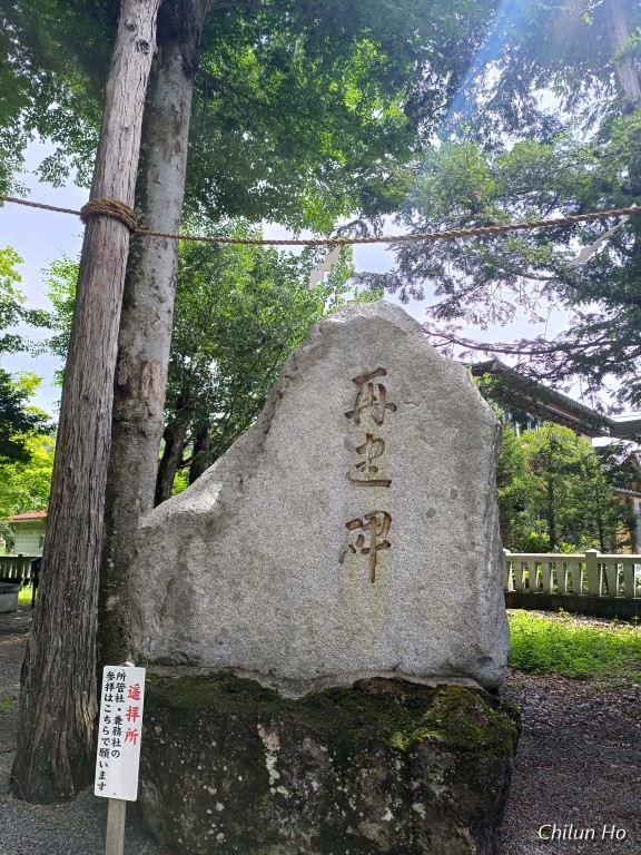 忍草