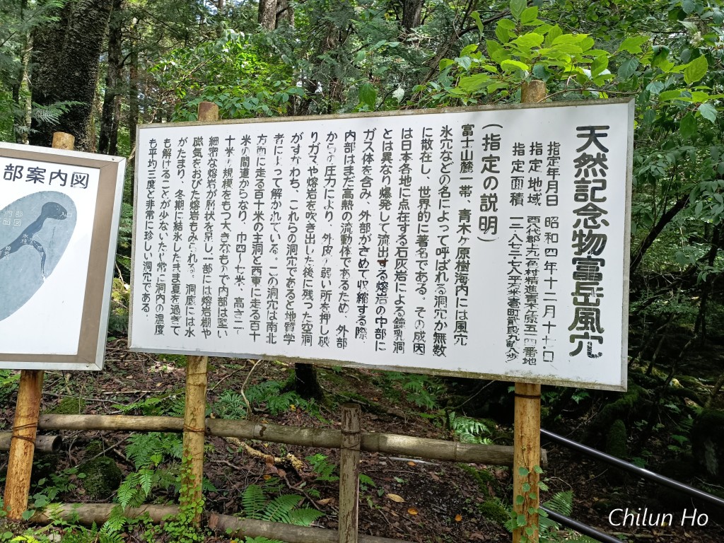 富士箱根伊豆国立公園 自然歩道（青木ケ原自然歩道）