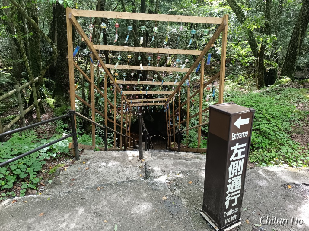 富士箱根伊豆国立公園 自然歩道（青木ケ原自然歩道）