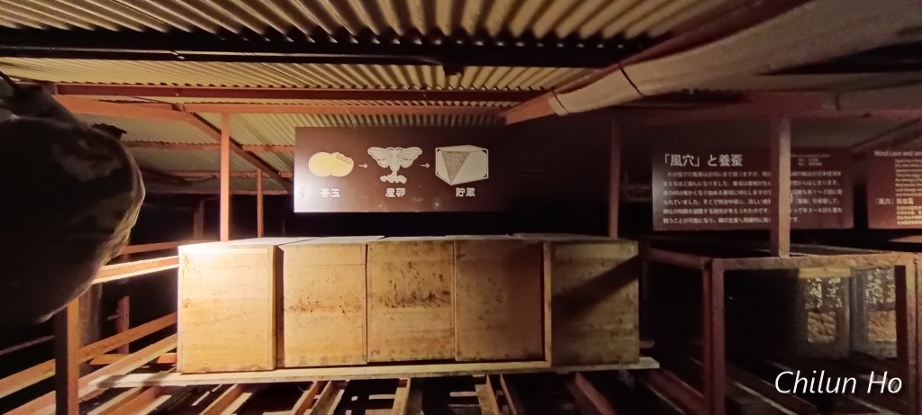 2025第二天河口湖旅遊