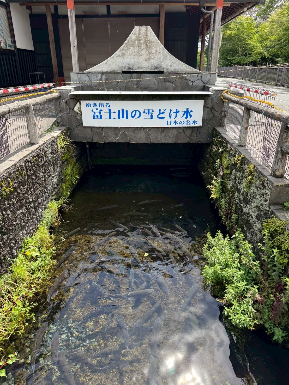 LINE_ALBUM_20250716-0720-小羊_250723_30