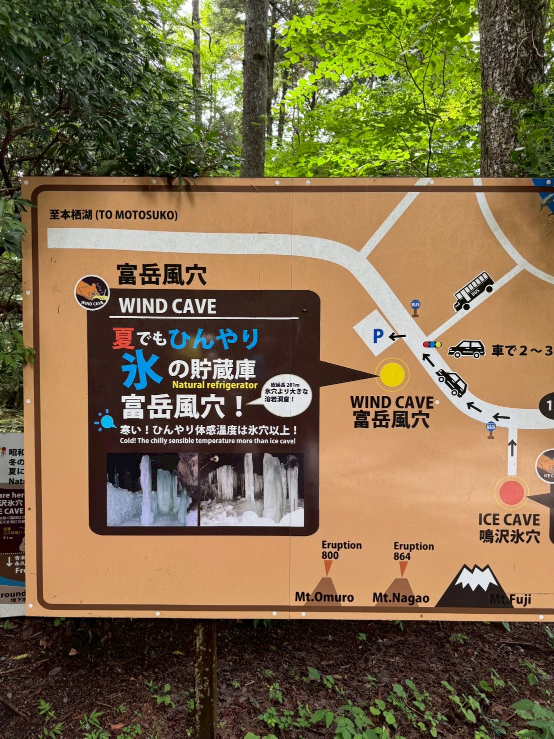 LINE_ALBUM_20250716-0720-小羊_250723_50