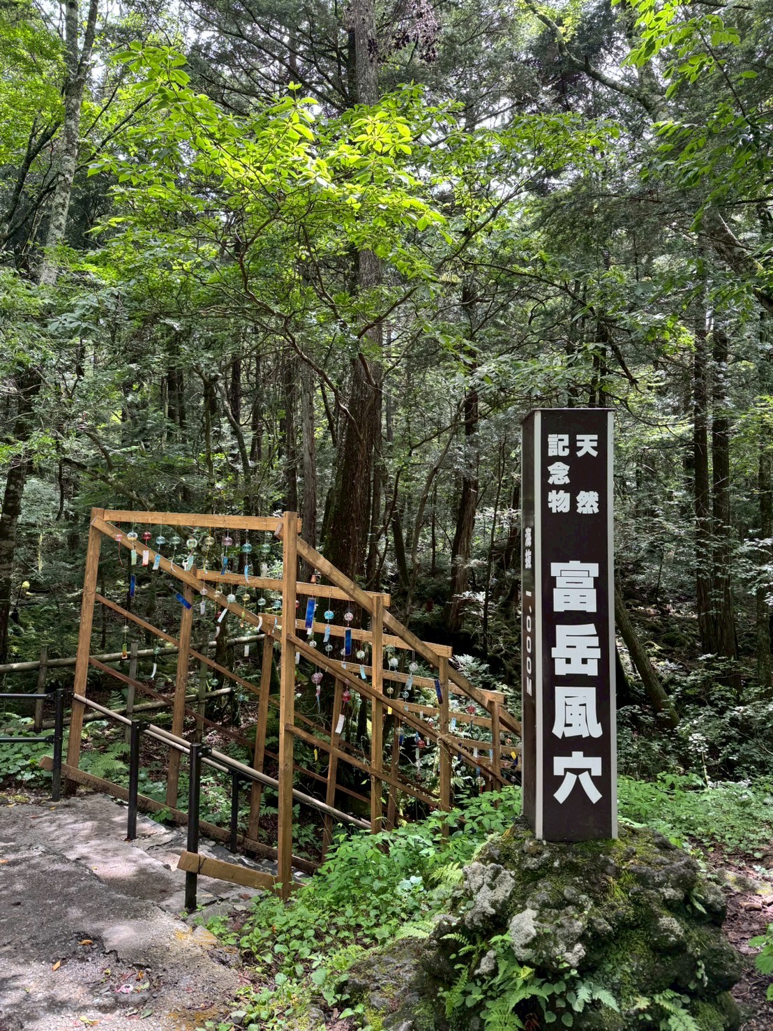 LINE_ALBUM_20250716-0720-小羊_250723_59