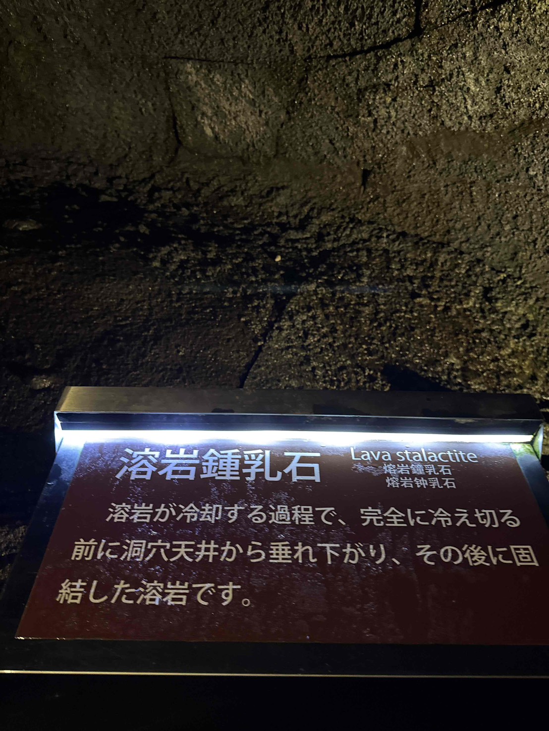 S__410312762_0