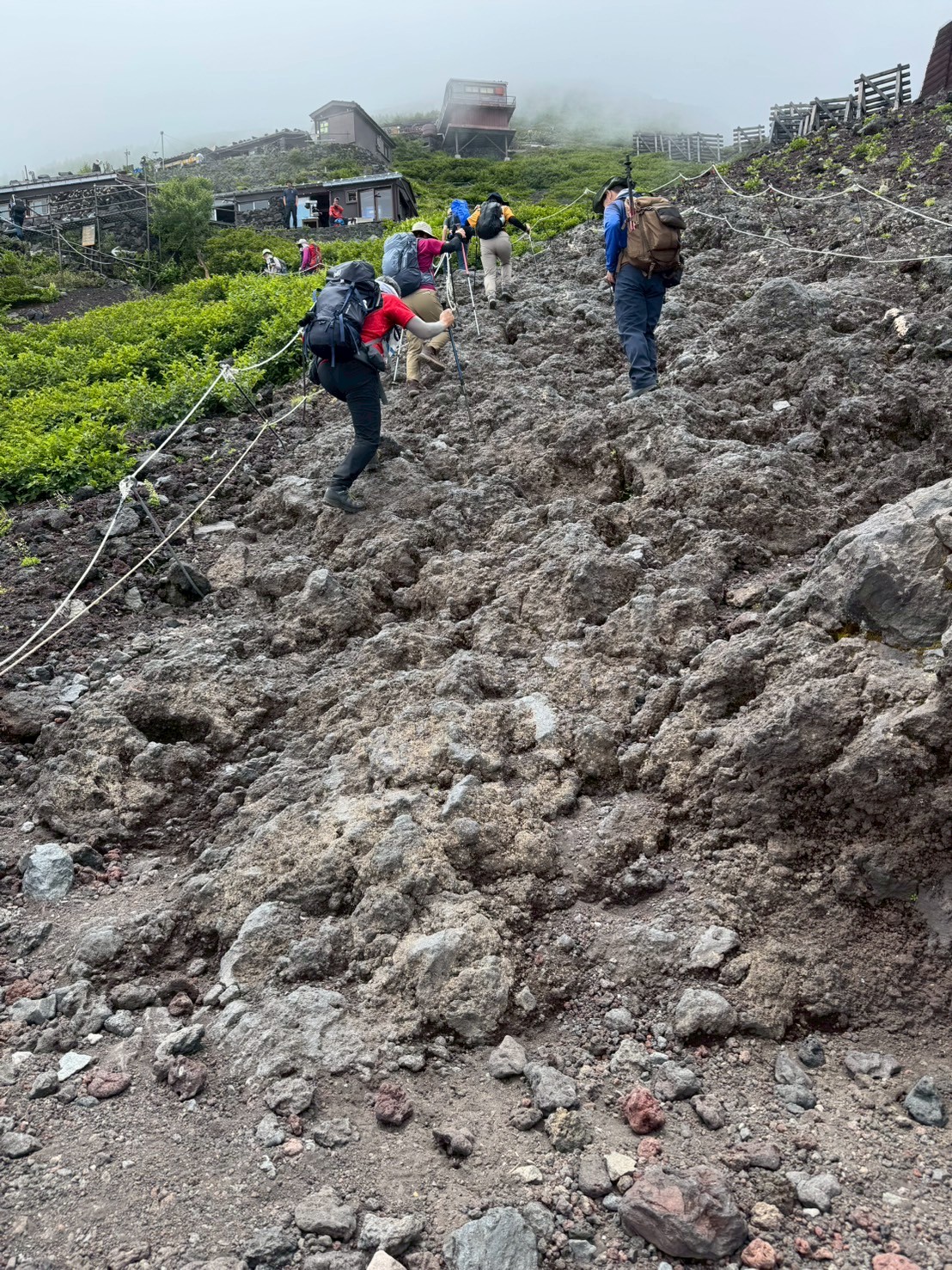 LINE_ALBUM_20250716-0720-小羊_250723_101