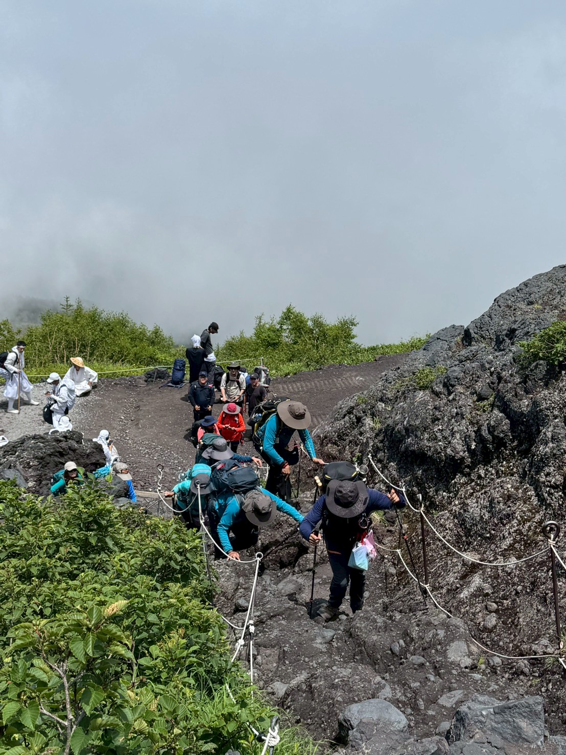 LINE_ALBUM_20250716-0720-小羊_250723_102